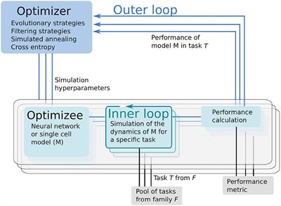 Exploring Parameter and Hyper-Parameter Spaces of Neuroscience Models on High Performance Computers With Learning to Learn